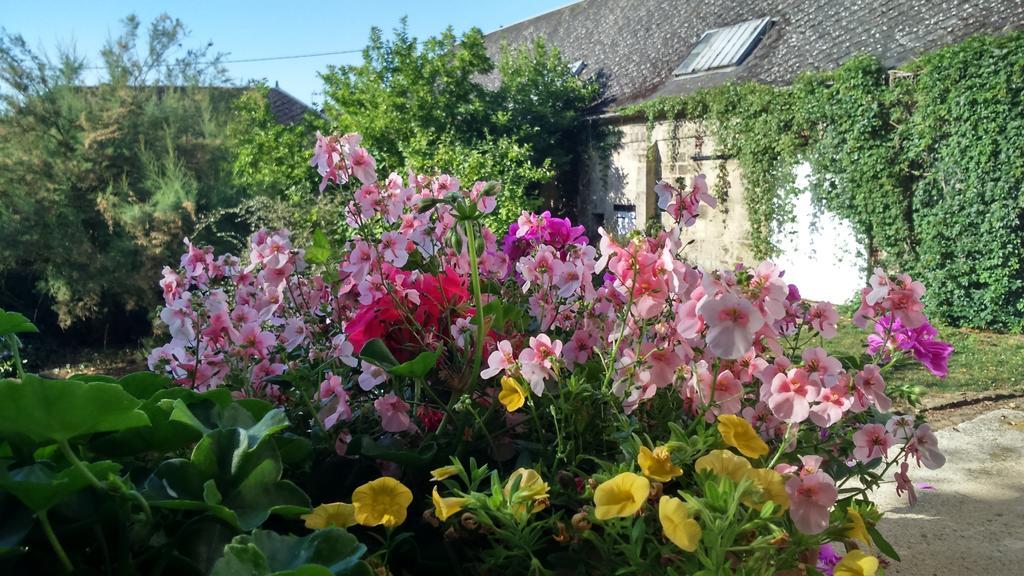 Bed and Breakfast Le Manoir De Crisolles Экстерьер фото