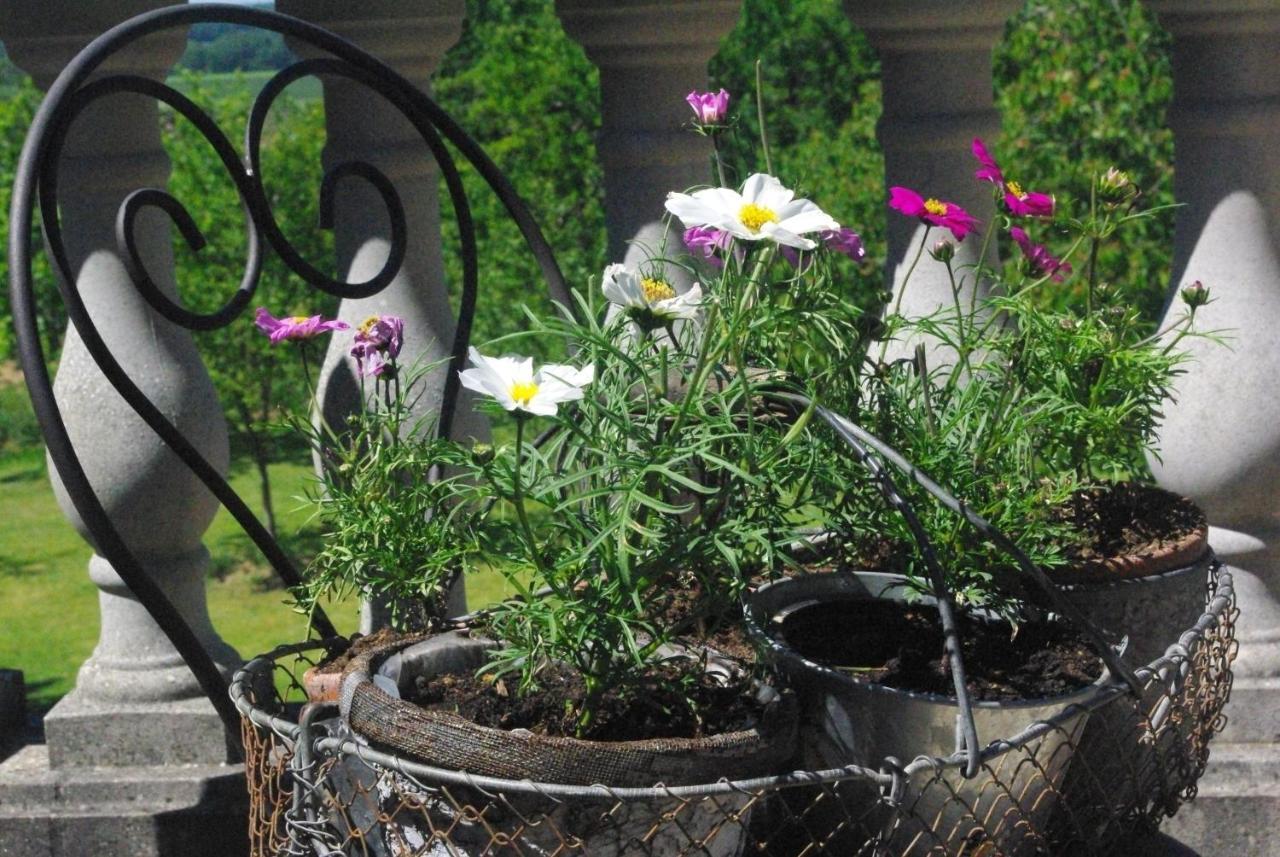Bed and Breakfast Le Manoir De Crisolles Экстерьер фото