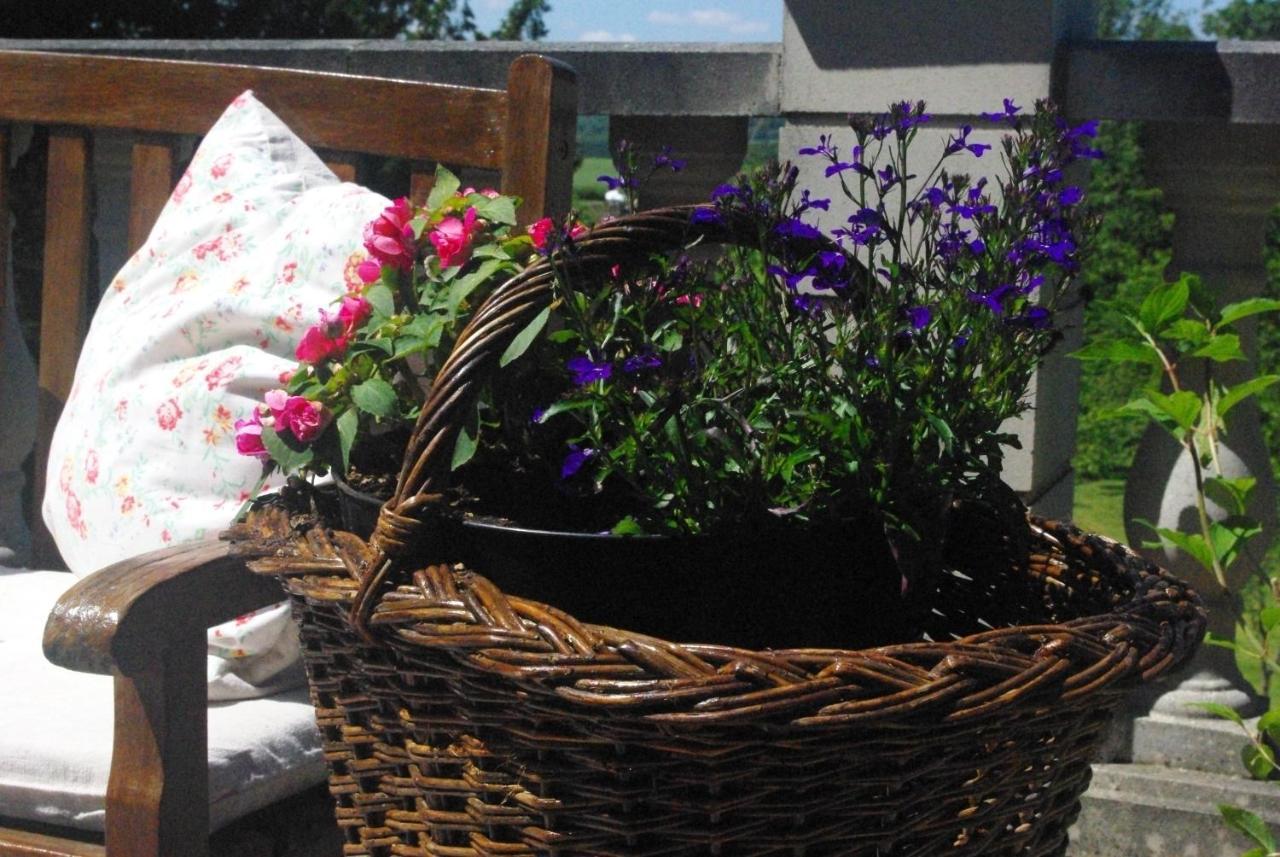 Bed and Breakfast Le Manoir De Crisolles Экстерьер фото